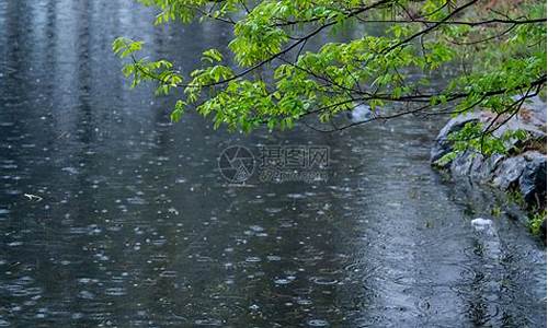 清明时节雨纷纷_清明时节雨纷纷,路上行人欲断魂