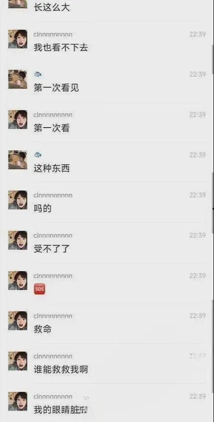 最新爆料大瓜视频,最新大瓜视频幕后真相，震惊娱乐圈！