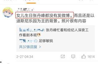 最新情感爆料,揭秘明星最新情感纠葛背后的真相